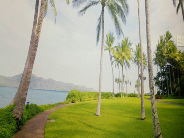 TRANH CAY DUA BAI BIEN tranh dán tường thiên nhiên cây dừa bờ biển