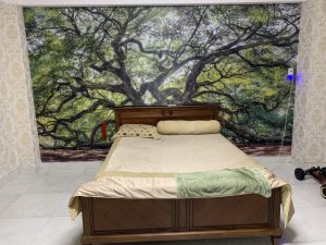 TRANH DAICOTHU Tranh dán tường trước và sau thi công
