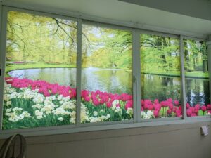 z2971953803422 80fea8354eea4fd2538f42f997a8fbf8 1 1 Tranh dán tường 3d khung cửa sổ thiên nhiên