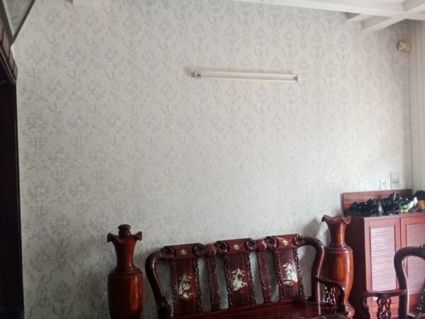 giấy dán tường phòng khách alisha3905-1
