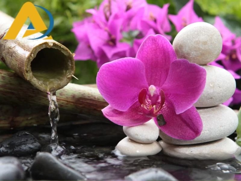 Tổng hợp mẫu giấy dán tường phòng yoga đẹp và ấn tượng