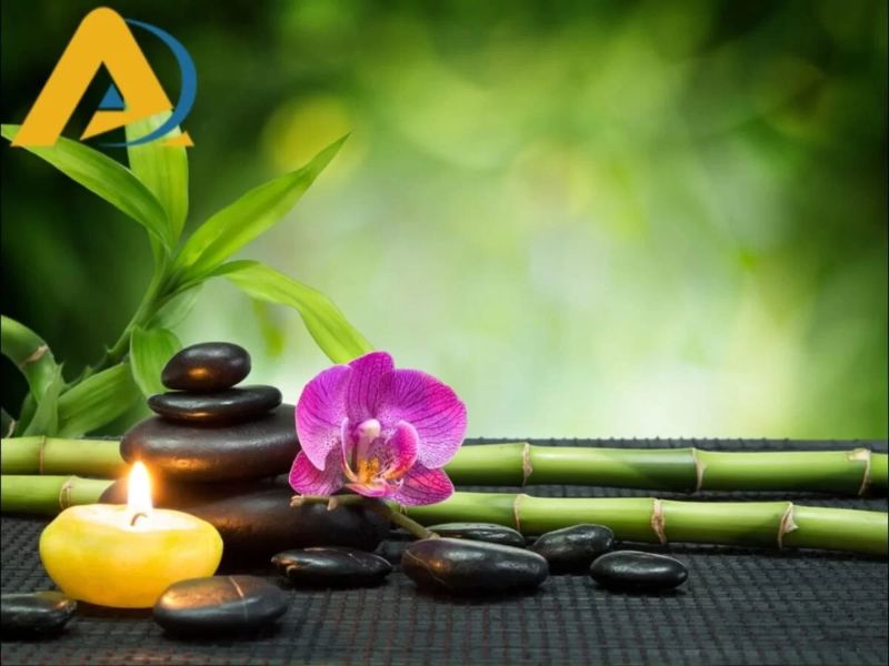Vai trò của giấy dán tường trong không gian phòng tập yoga