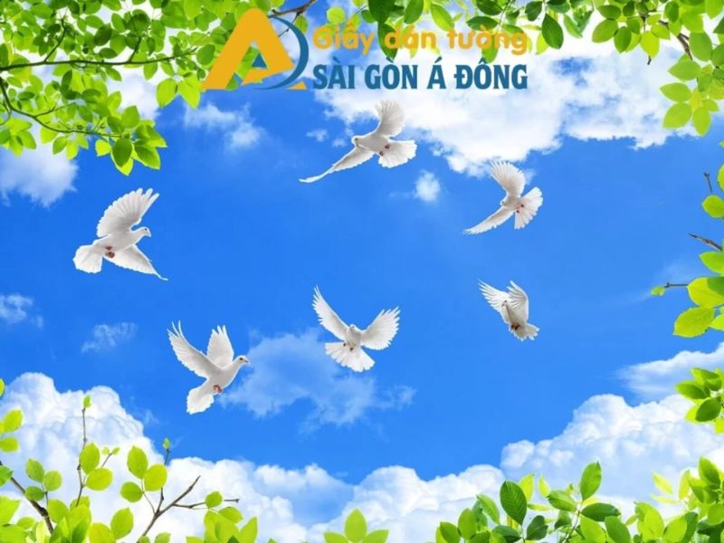 Kinh nghiệm chọn và sử dụng giấy dán tường ngoài trời luôn bền đẹp 