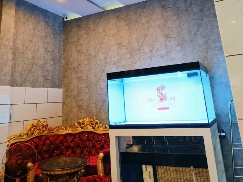 Mua giấy dán tường cho quán ăn cao cấp, đẹp và bền lâu ở đâu? 